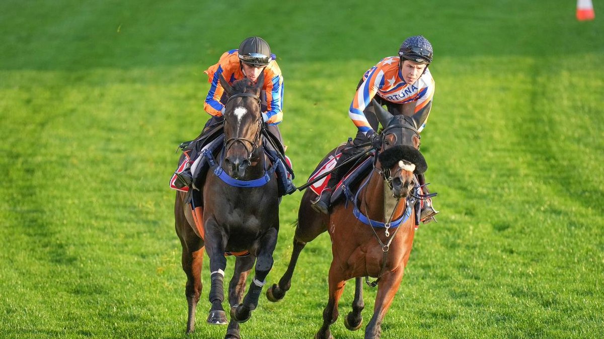 Racenet (@racenettweets) on Twitter photo Racenet iQ form experts Mark Guest and Tony Brassel have given their rundown on every race at The Valley and Randwick today 👇
Guesty's tips: tinyurl.com/39v42mek
Braz's tips: tinyurl.com/mtyzy7mw
<a href="/TonyBrassel/">TONY BRASSEL</a> <a href="/guestyracing/">Ⓜ️ark Guest</a>
WHAT COULD YOU BE BUYING INSTEAD? Racenet iQ form experts Mark Guest and Tony Brassel have given their rundown on every race at The Valley and Randwick today 👇
Guesty's tips: tinyurl.com/39v42mek
Braz's tips: tinyurl.com/mtyzy7mw
<a href="/TonyBrassel/">TONY BRASSEL</a> <a href="/guestyracing/">Ⓜ️ark Guest</a>
WHAT COULD YOU BE BUYING INSTEAD?