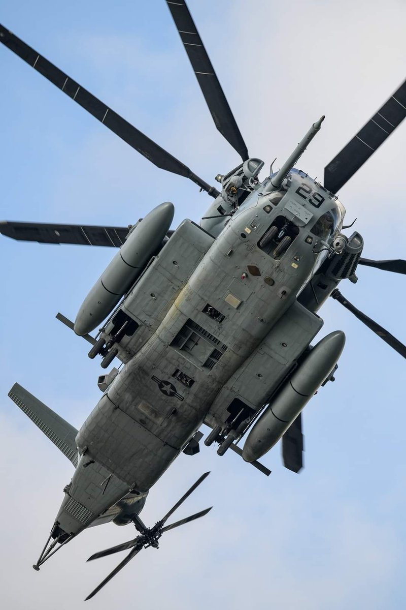 gonzaconti_18's tweet image. #BAPI #Navy