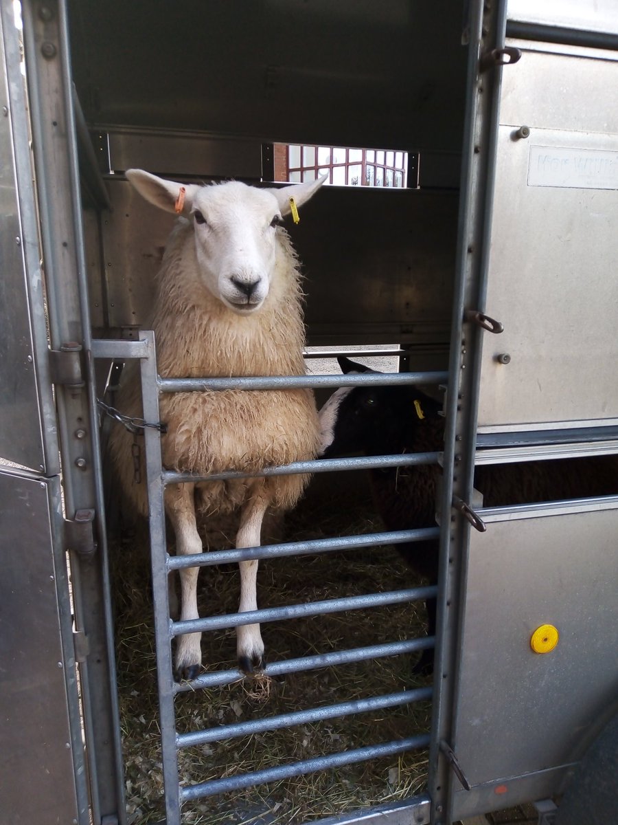 The animals and I are off to Hednesford Street Market, tomorrow (Saturday 28th October) from 10am-3pm.

If you're in the area, pop down, say hello and have a look around 40 street traders, street food stalls and a host of independent shops.