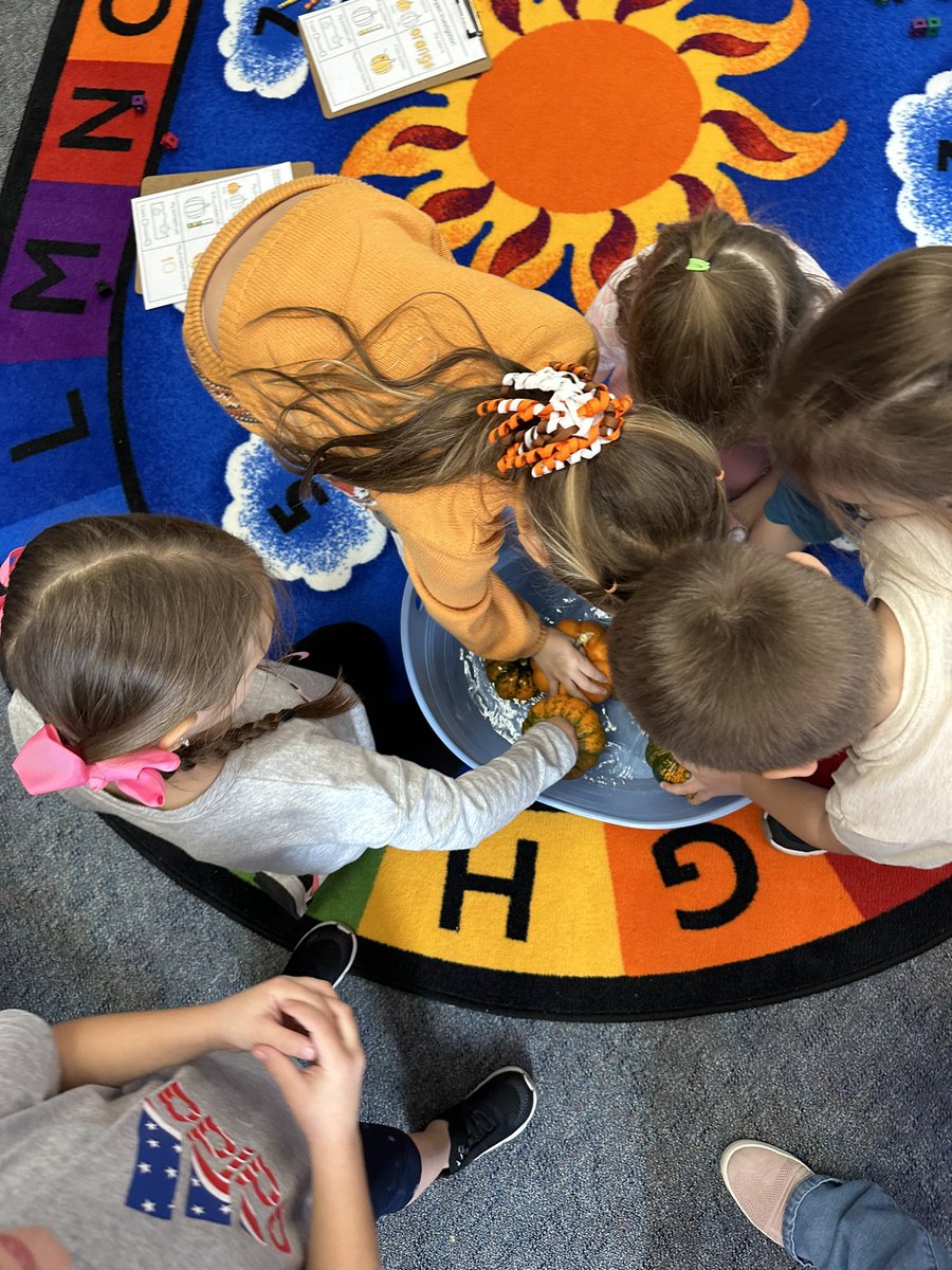mrsroddykinder's tweet photo. Pumpkin exploration! 🎃 https://t.co/U3dHcJN53g