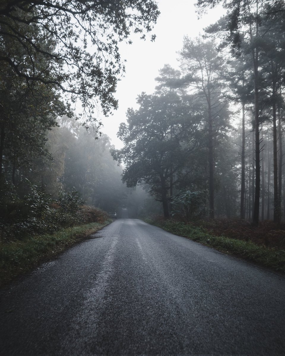 Scenes....
Love Autumn 🍂 
📸: <a href="/GR_RICOH_GLOBAL/">RICOH GR (Global)</a> GRiii 
#photography #landscapephotography #Autumn