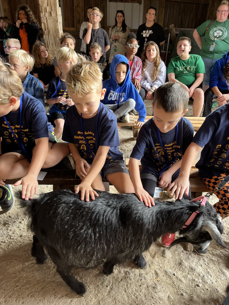 We learned about goats and chickens on the farm!