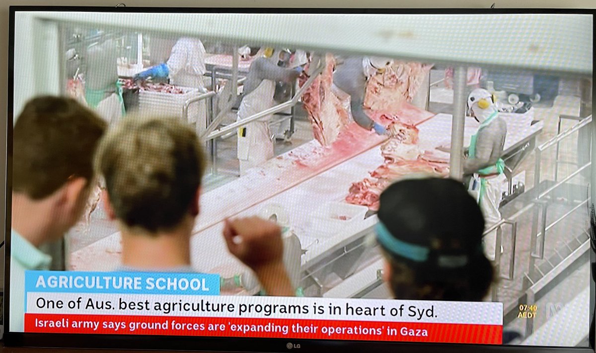 MFWitches's tweet photo. The reporting by @BreakfastNews this morning is the worst we’ve ever heard. 

It is execrable, deceptive, murderous, unforgivable and cruel. For example:

- They just reported the @UN voted on demanding a ceasefire to save millions of civilians from bloody death without a single indication that Australia ABSTAINED from that vote.

- They continue to frame the conflict as “Israel vs. Hamas” with barely a mention of the indiscriminate bombing of millions of civilians and the complete severing of communications and aid supplies.

- They say Israel has demanded civilians “move south”, thus framing the coming deaths as those civilians’ own fault for not fleeing but with no mention that those civilians have nowhere safe to go because Israel is bombing southern regions too.

- The coverage in each news report goes for just 2 or 3 minutes (implying it’s a minor skirmish instead of the annihilation of an entire country) instead of the hours of constant coverage when Ukraine was invaded.

- The screen chyrons (and the reporter wording) in between chirpy fluff pieces on meat production include the one below: “Israel are expanding operations” instead of the truth which is that Israel are bombing an entire city to smithereens.

This entire organisation are complicit in the bloodshed and can’t even stand up for their own colleagues now being murdered in their dozens in Gaza, let alone hundreds of thousands of children and babies.

Resign in shame, you fuckers. 

#PalestineHolocaust 
#Gaza_Genocide