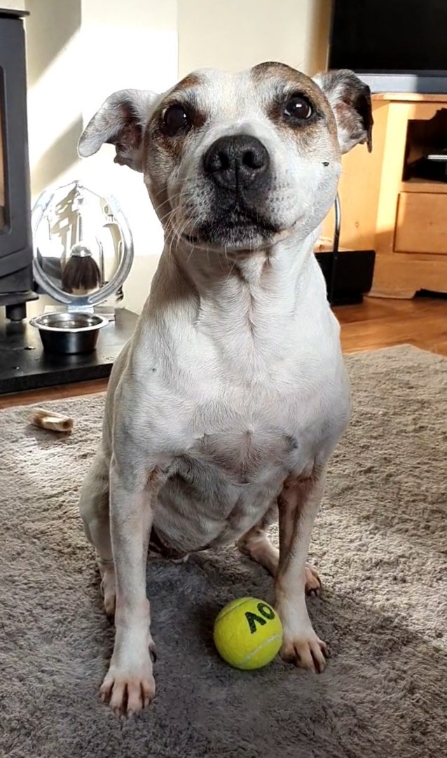 Kim Fisher tweet media