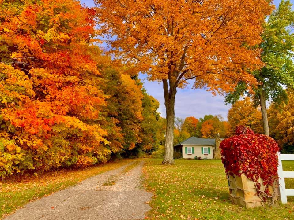 Beautiful fall colors in #BattleCreekMI…photo taken by Sarah Philippi.  #miwx #Fall2023 #Michigan #fallcolors #wxtwitter