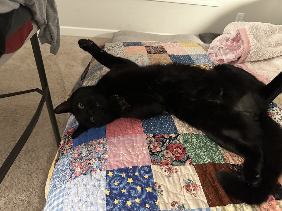 Sarah_Robinson tweet media