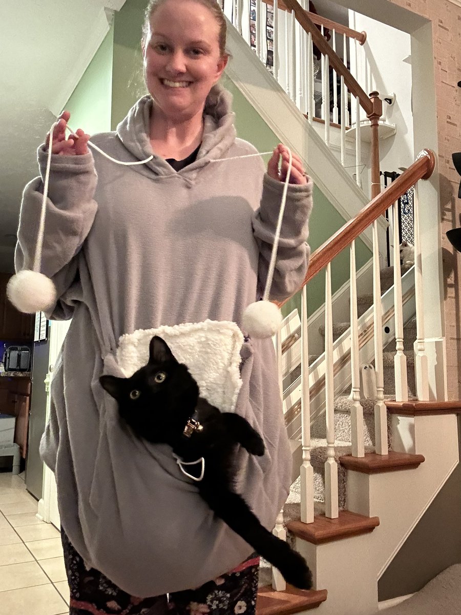 Sarah_Robinson tweet media