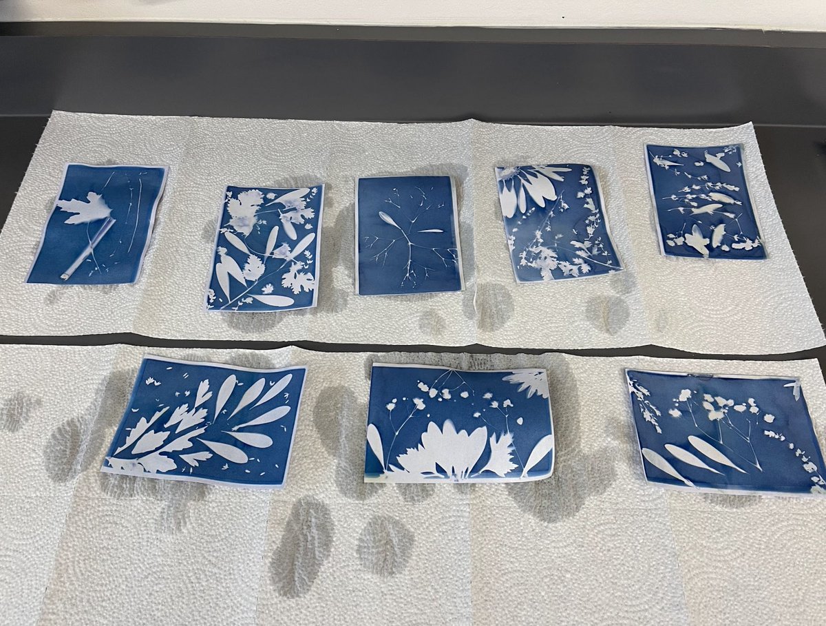 Artful Learning tweet media