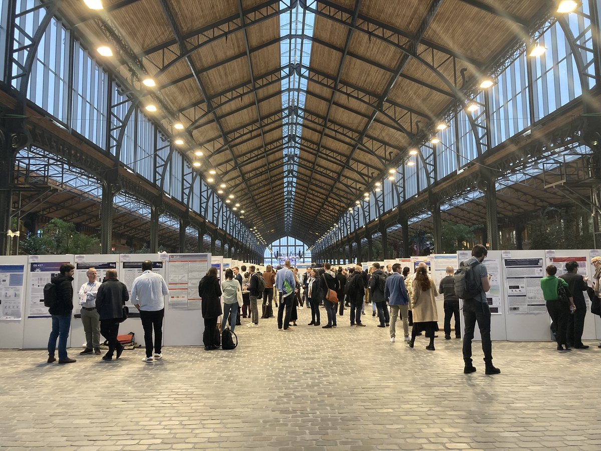 Luisa Lemos tweet media