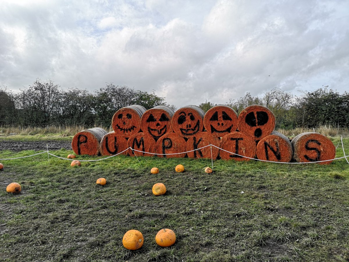 ryspooner96's tweet photo. Farm day 🎃 https://t.co/cUdTSiyMZy