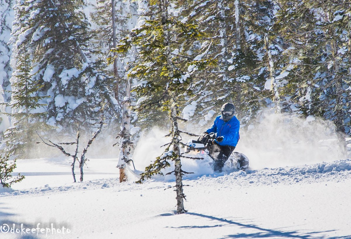 DonnieOK's tweet photo. Looking back to 2015 when I was hired to do some photo work for #Sledworthy #Magazine #ilovewinter #explorenl #NLSF #Newfoundland #winteriscoming https://t.co/6f5coo5czq