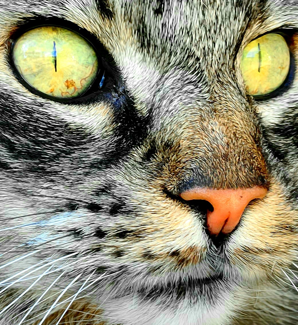 ejgilpin's tweet photo. @PhotoRose1997 https://t.co/5NNfX6wYXl