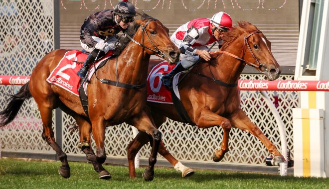 mcsmithracing's tweet image. 5/5💨

Frilled hates to lose ⭐️

Congratulations to her owners and connections 🎉 
@TheValley @springcarnival @Racing 

#TeamMCS