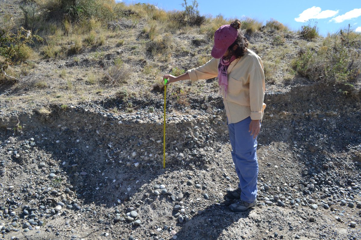 grupo_giss's tweet photo. and Sebastián Richiano from @CONICETCenpat and she's working with bioerosion trace fossils from Patagonia 🌅🔬🐚🦪. Congratulations, Luly! 🎊🎉

#ichnology #ichnotaxonomy #bioerosion #grants #phdstudent #apaleontologica

https://t.co/GVuvCL1egd https://t.co/r3i7cl2513