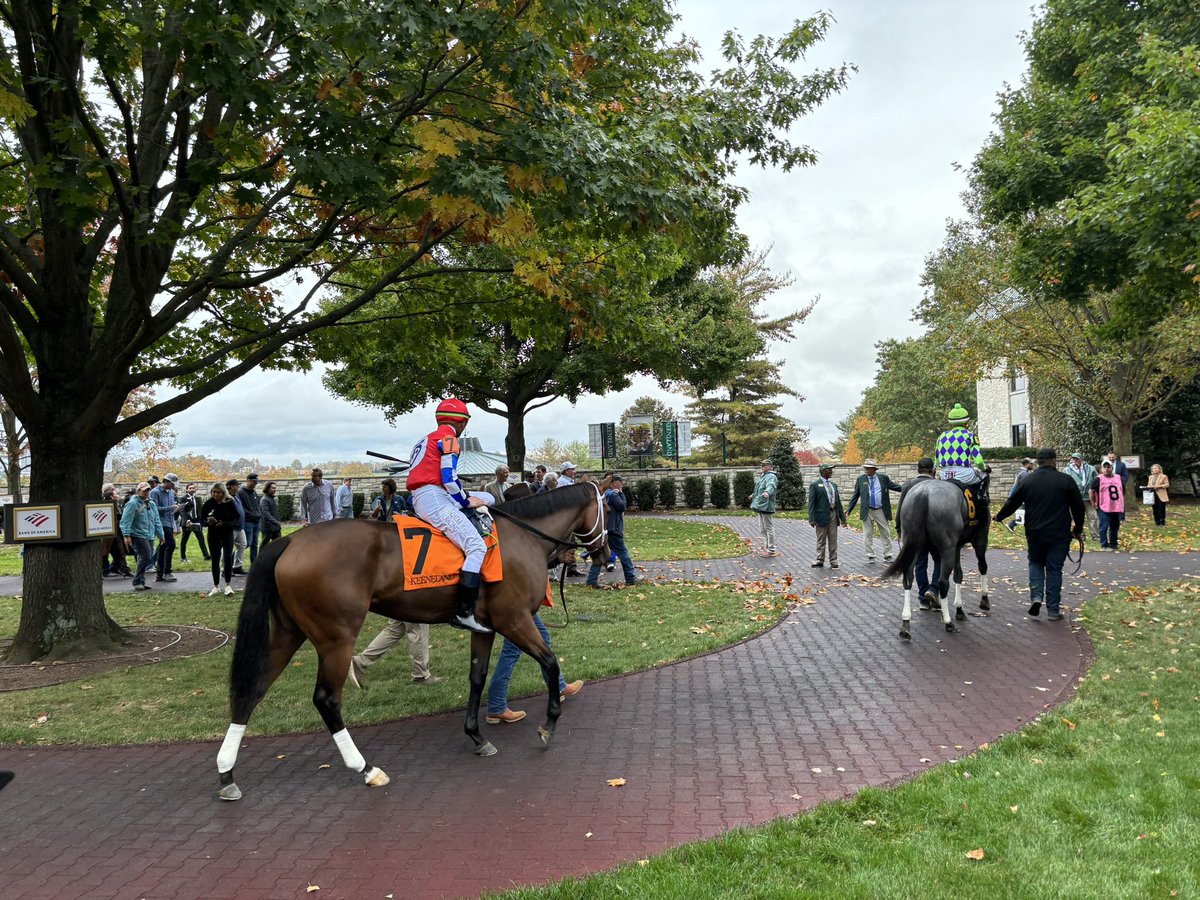 blacktypetb's tweet photo. YOUALMOSTHADME WINS the Myrtlewood Stakes at #Keeneland!! https://t.co/kIYx7VwU9n