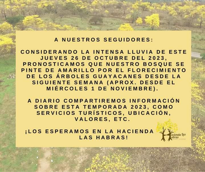 GuayacanColimes's tweet photo. Temporada 2023.
#FlorecimientoDeGuayacanesEnColimes

Te esperamos.💛💛 https://t.co/DRavH7Dxcc