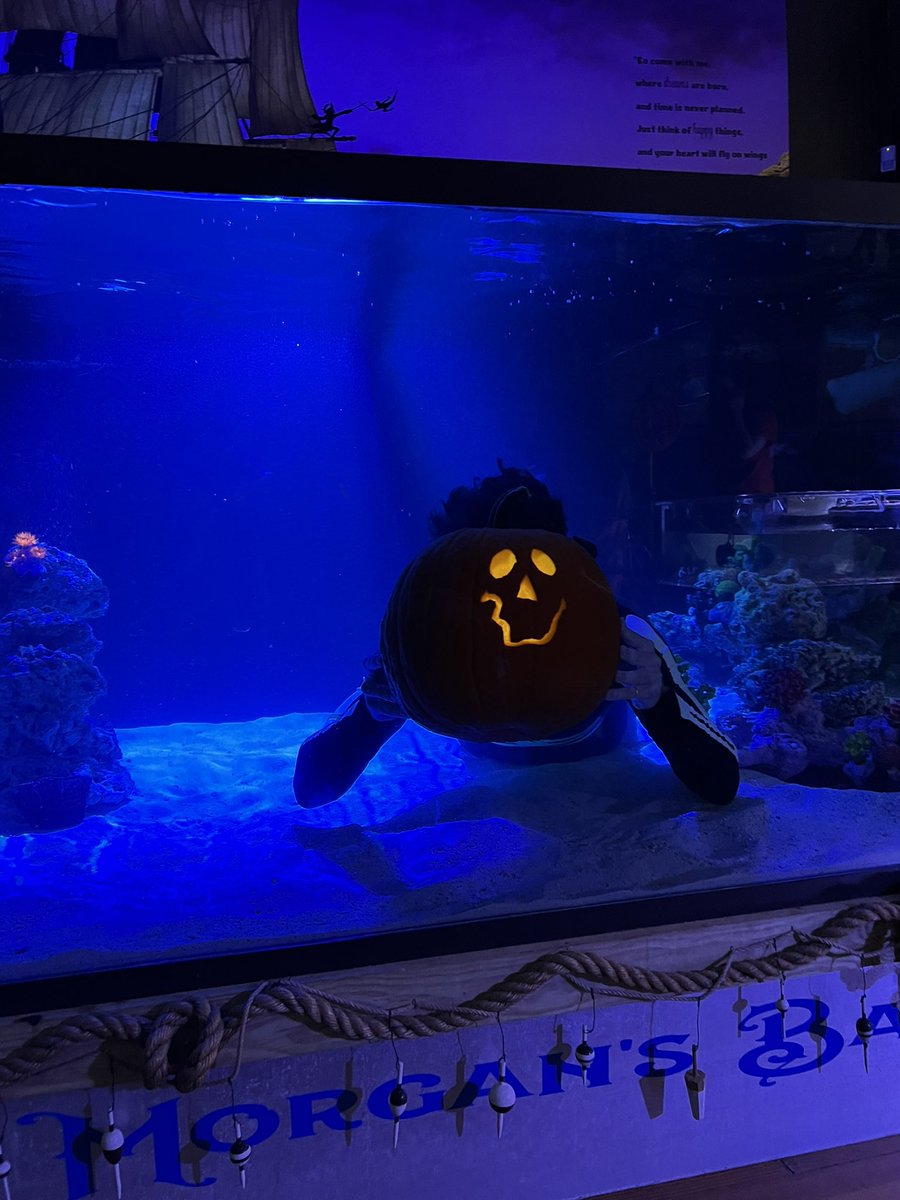 Aquarium & Shark Lab tweet media