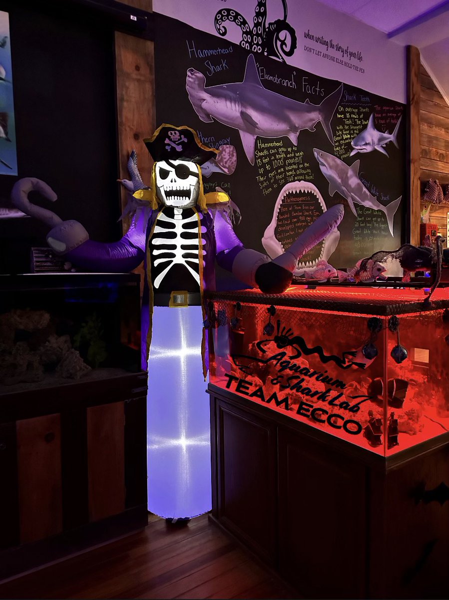 Aquarium & Shark Lab tweet media