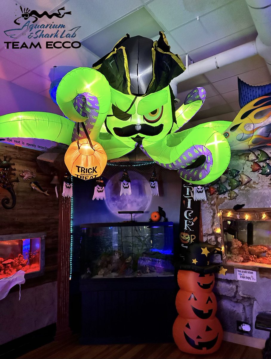 Aquarium & Shark Lab tweet media