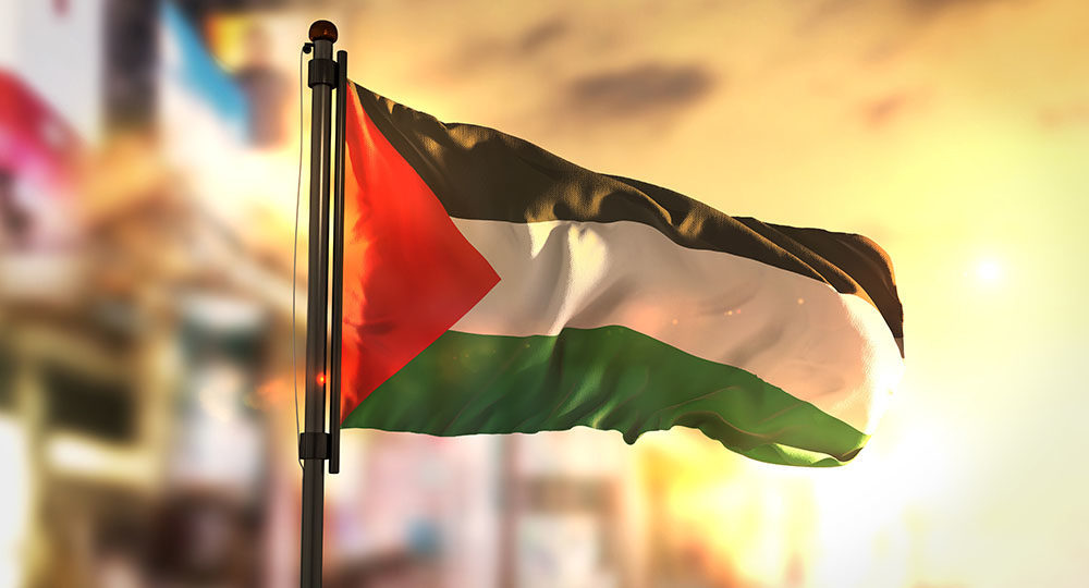 BassamMeshref's tweet photo. open satellite internet for #Gaza 
#starlinkforgaza https://t.co/XGGkxkKsSo