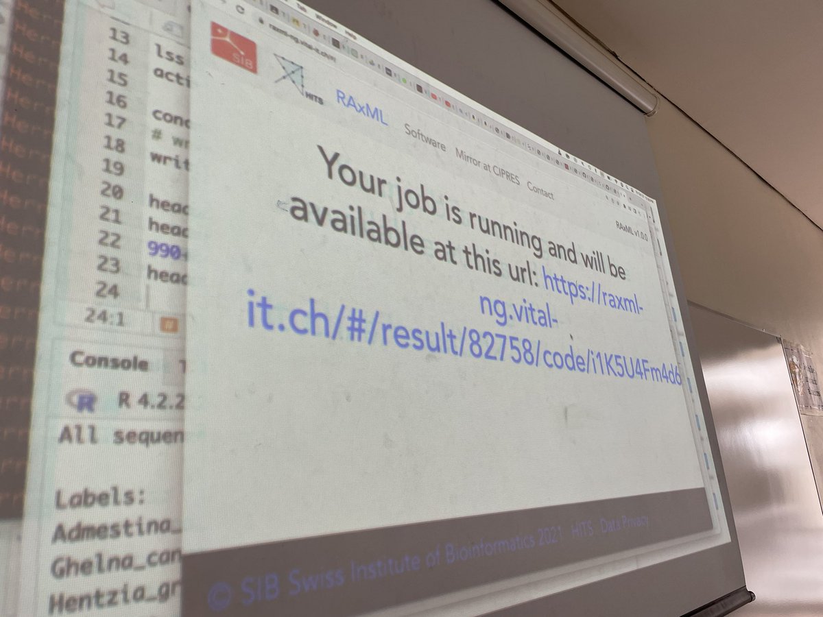 HernanHVM's tweet photo. Today in #SistematicaUNAM we did ML inference with #IQtree & #RAxML using a salticid spider 🕷️ dataset, discussed 🥾 strapping, precision 🆚 accuracy, and declared a Felsenstein-ML pulley challenge winner. We had of course to watch #LucasTheSpider as an intro to aracnid diversity https://t.co/6MUB4TYMyp