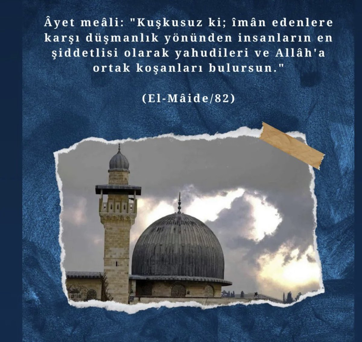 aslan_rose's tweet photo. @abdullahciftcib https://t.co/31d8LXVucB