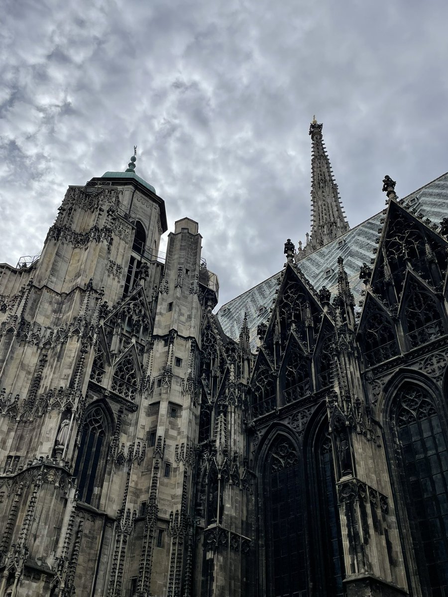 amaliagc16's tweet photo. 📍VIENA https://t.co/DmdKaoEARl