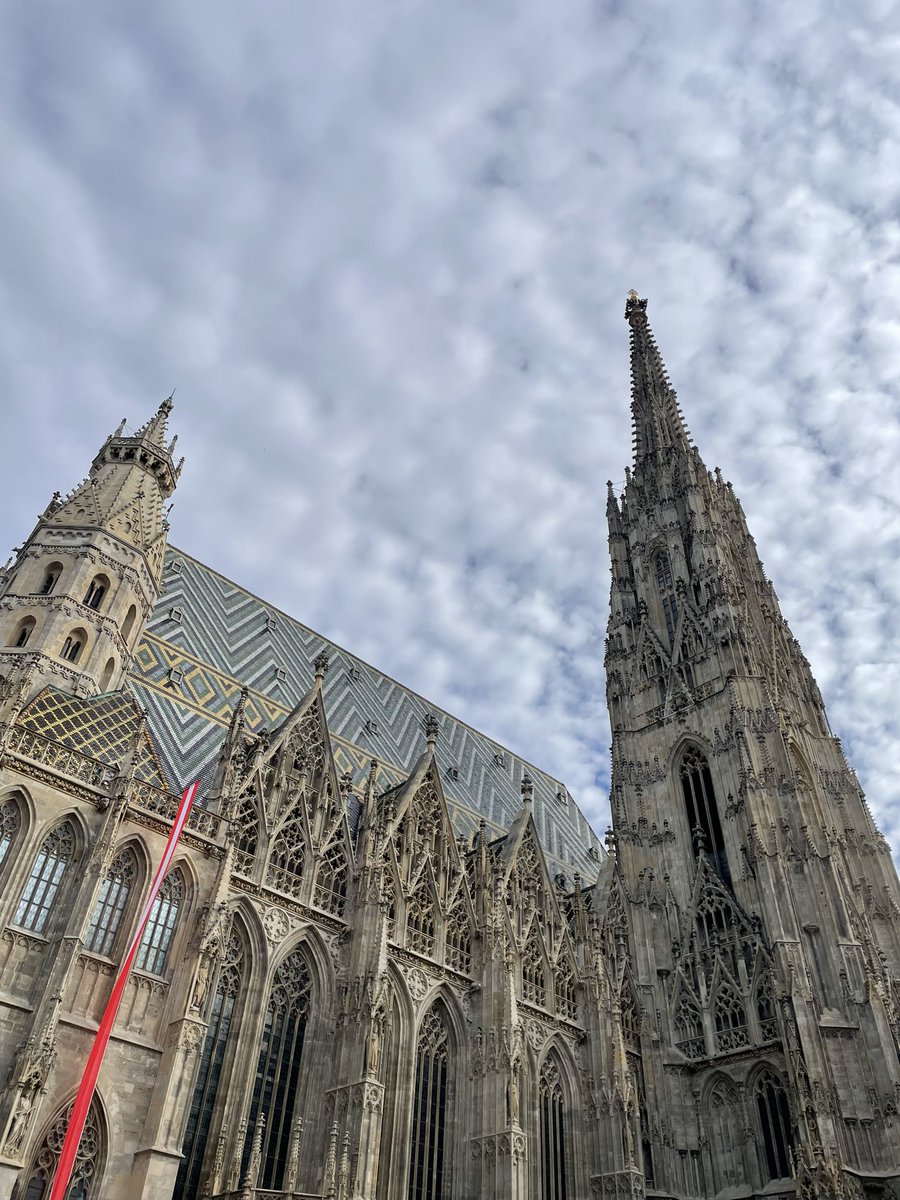 amaliagc16's tweet photo. 📍VIENA https://t.co/DmdKaoEARl