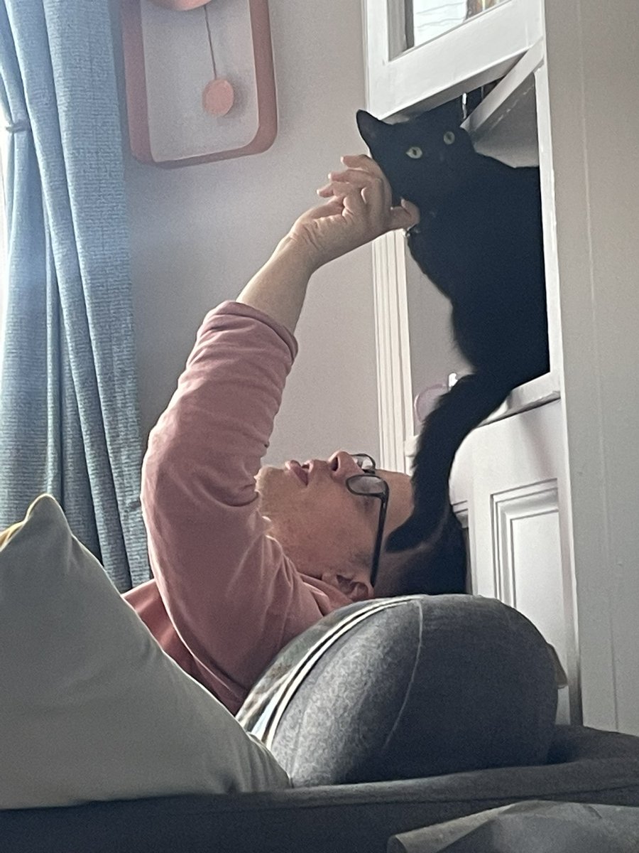 GildooS's tweet photo. My little gorgeous weirdo #blackcatappreciationday https://t.co/26B0R6zbMt
