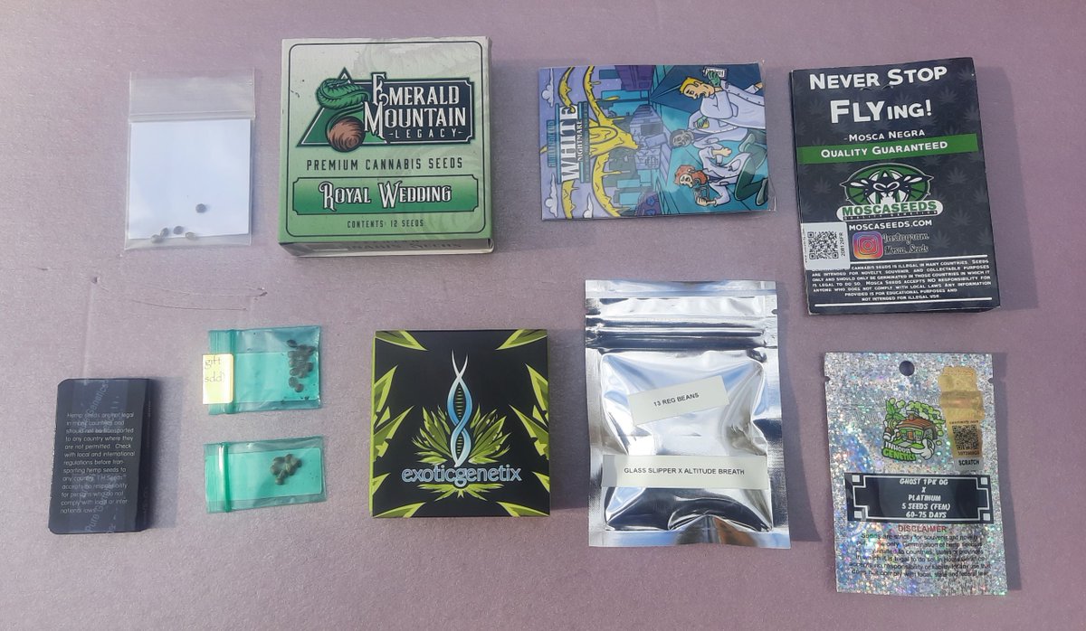 DCSeedExchange's tweet photo. Boo-yah! We're auctioning off 11 new and exclusive Halloween seed packs, starting at just $1! From exclusive crosses to limited-edition releases, there's something for everyone in this auction, and they're only available here at DC Seed Exchange.
#seedsale #seedauction #seeds https://t.co/zeQxpuOUhY