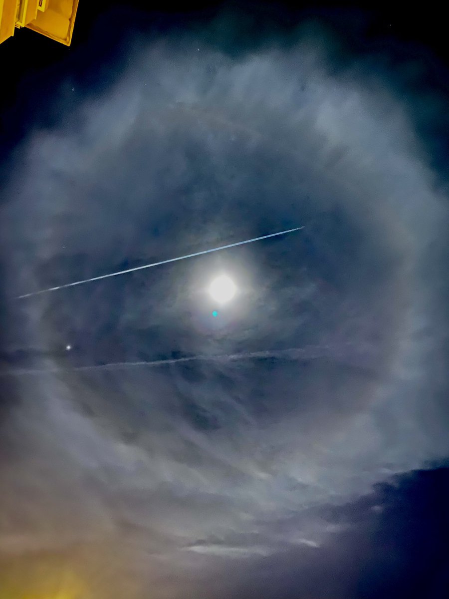 July Nechaeva tweet media