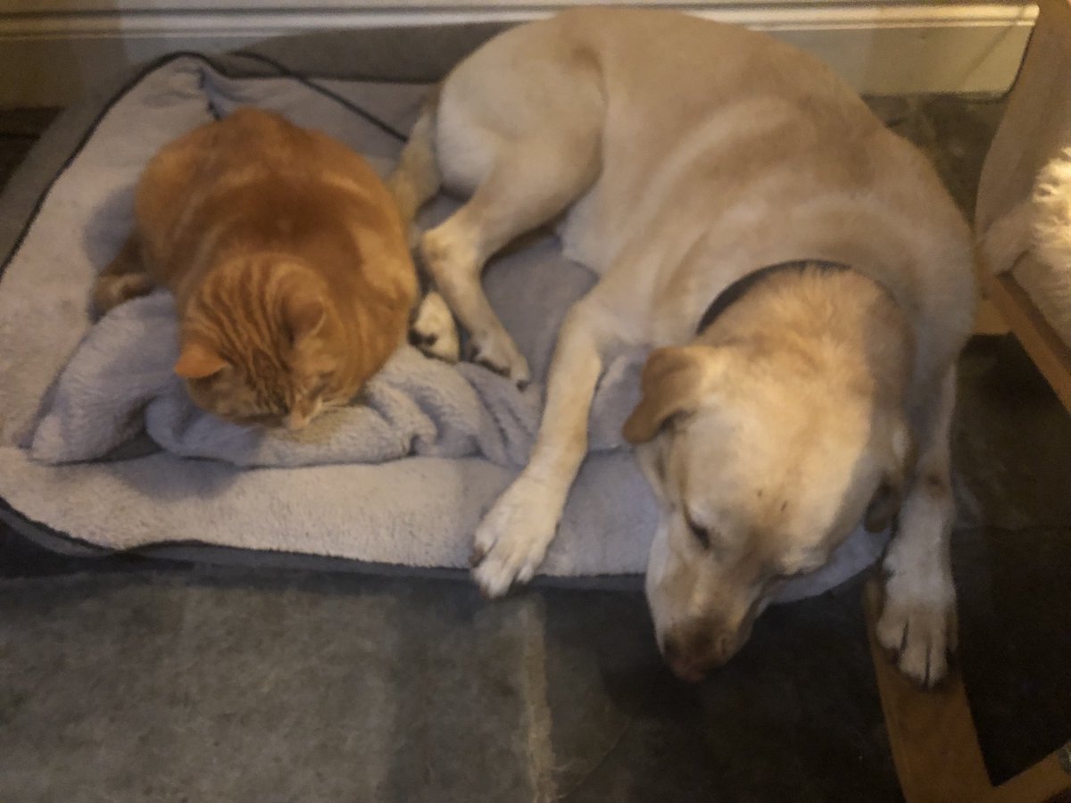 Kate Slater tweet media