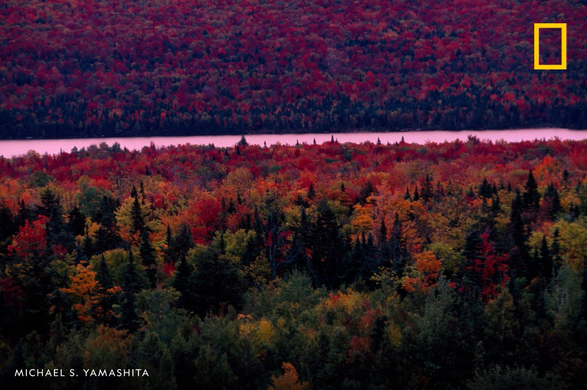 A view of a Vermont river surrounded by a forest of trees in fall foliage