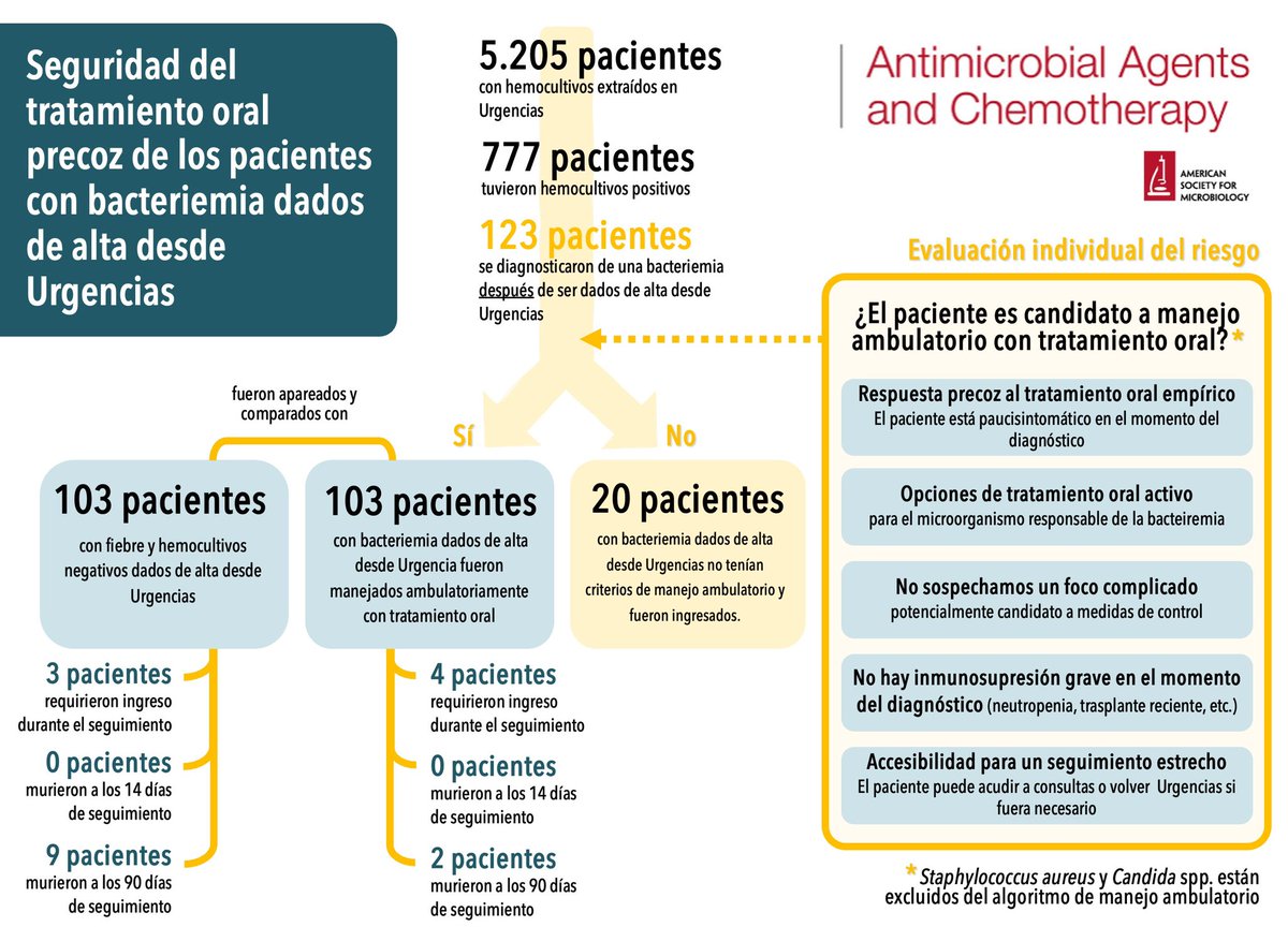 Guía PRIOAM tweet media