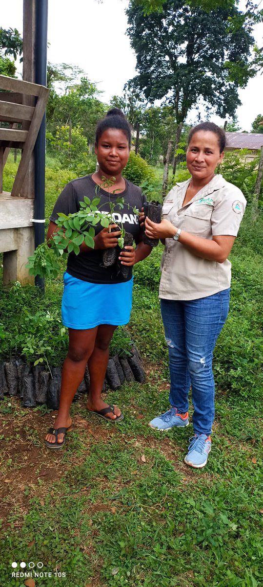 MarenaNicaragua's tweet photo. En la comunidad indígena Saupuka, territorio Wangky Twi, municipio de Waspam, Caribe Norte, realizamos junto a #INAFOR, la entrega de 2,000 plantas a protagonistas que se han unido voluntariamente a la campaña nacional “Verde, que te quiero Verde”.
#VerdeQueTeQuieroVerde https://t.co/UGoj4TZF6N