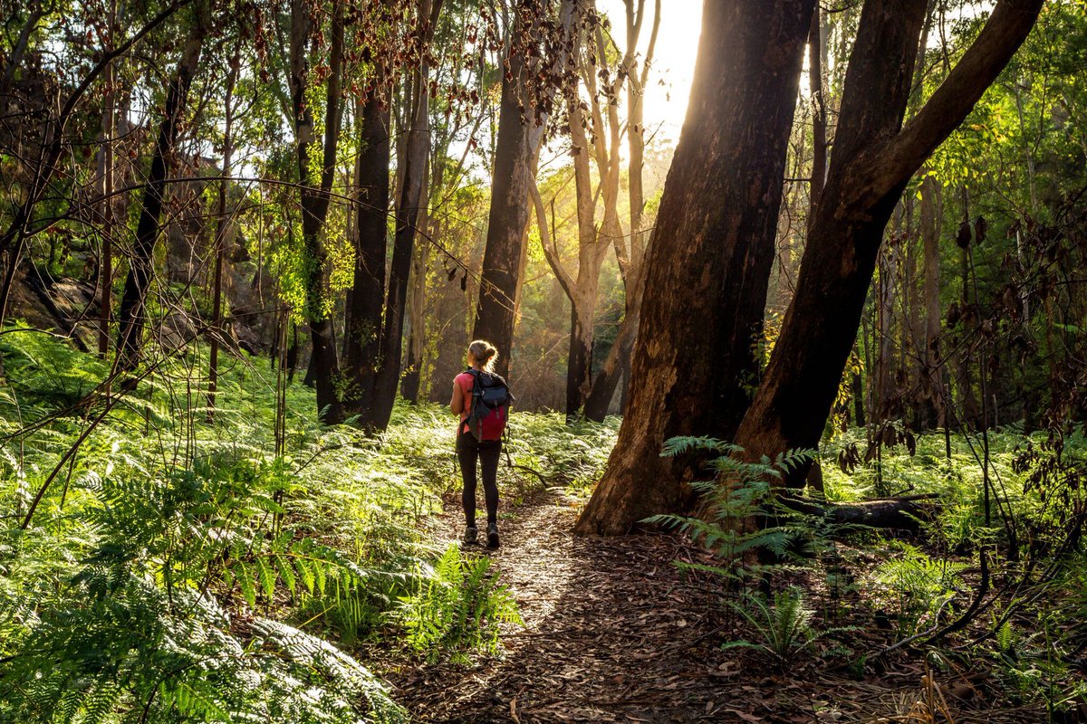 Discover 5 simple ways to connect with nature this spring for better mental and physical health. Embrace Nature Blocks™ with Conservation Volunteers Australia 🌿🌼 #NatureBlocks #Wellbeing #BiodiversityBoost buff.ly/476GXtK