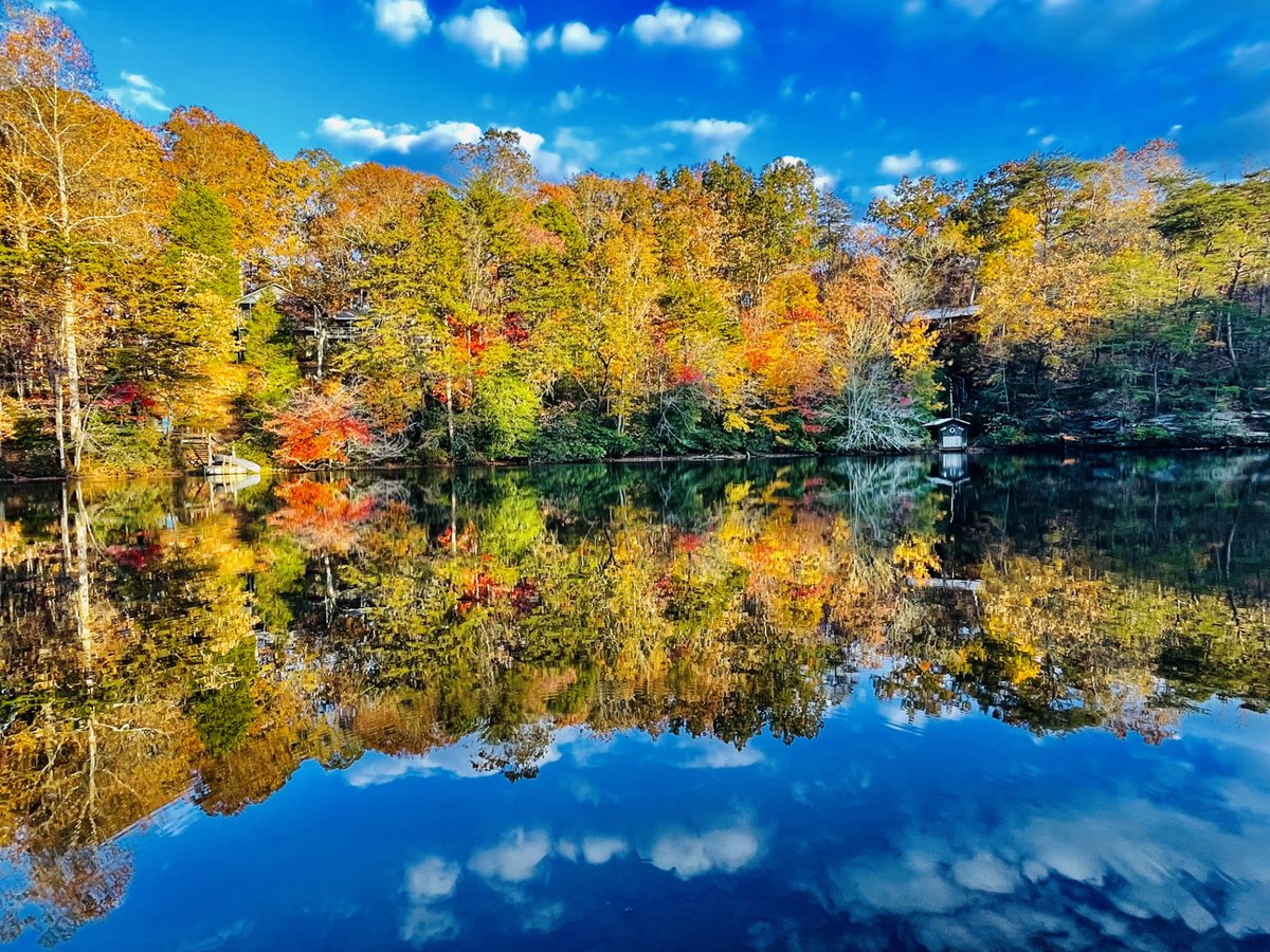 DanielleDozier's tweet photo. AMAZING fall foliage pics from News 19 viewer Kimberly Pitts. She took these at DeSoto State Park and Mentone Brow Park! #alabama @whnt https://t.co/KHTMuDeKTL