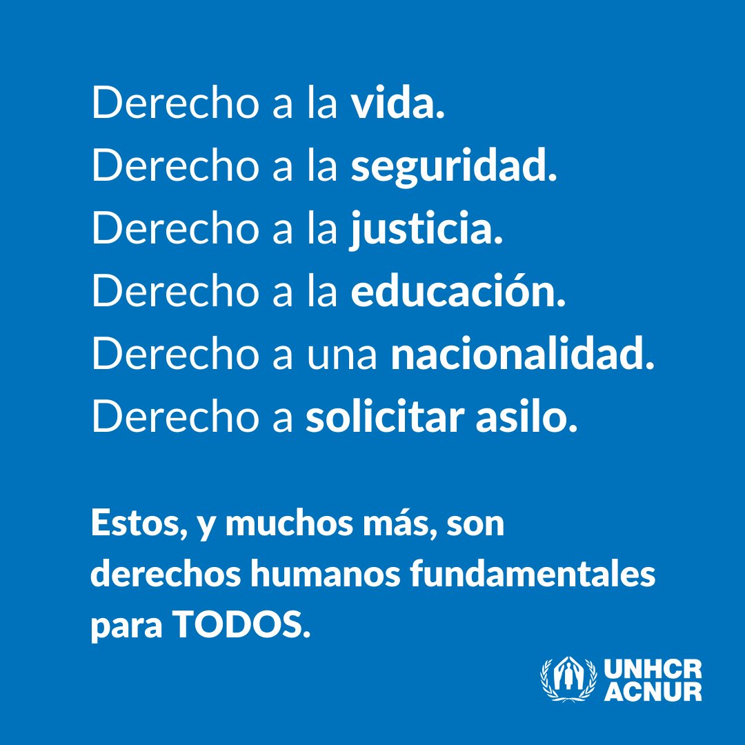 ONU_es's tweet photo. Derecho a la vida.

Derecho a la seguridad.

Derecho a solicitar asilo.

Estos derechos son derechos humanos fundamentales.

Defendamos los derechos de las personas refugiadas y desplazadas allí donde estén.

vía @ACNURamericas https://t.co/UCmPI536Ht