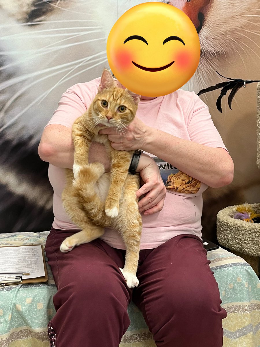 Congrats and happy tails to Clementine on her #GotchaDay! She’s already being so sweet and affectionate with her new mom and we know she’s going to be so loved in return. 🧡🍊 #AdoptDontShop