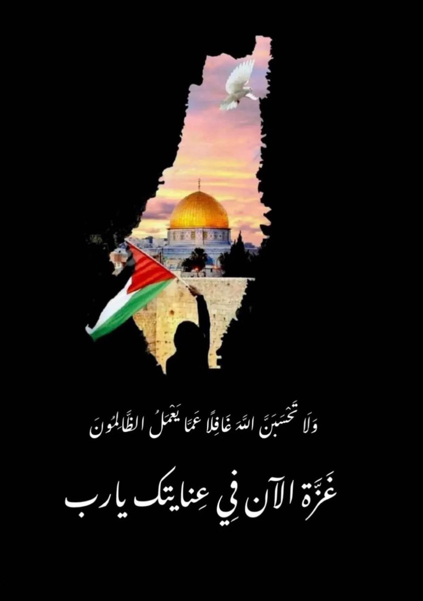 zainab_althamer's tweet photo. #غزة_العزة https://t.co/FguDk6tBh9