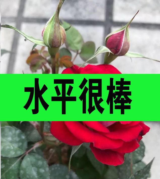 ReginaExline's tweet photo. #南宁同志#南宁男男#南宁按摩#南宁会所#南��spa#南宁骚0
#南宁猛1#南宁上门#南宁男模#南宁帅哥180#南宁按摩#南宁帅哥按摩#南宁肌肉
#南宁sm
#南宁mb
#南宁帅哥联系主页V：13541316029 https://t.co/KCZmTa6nCp