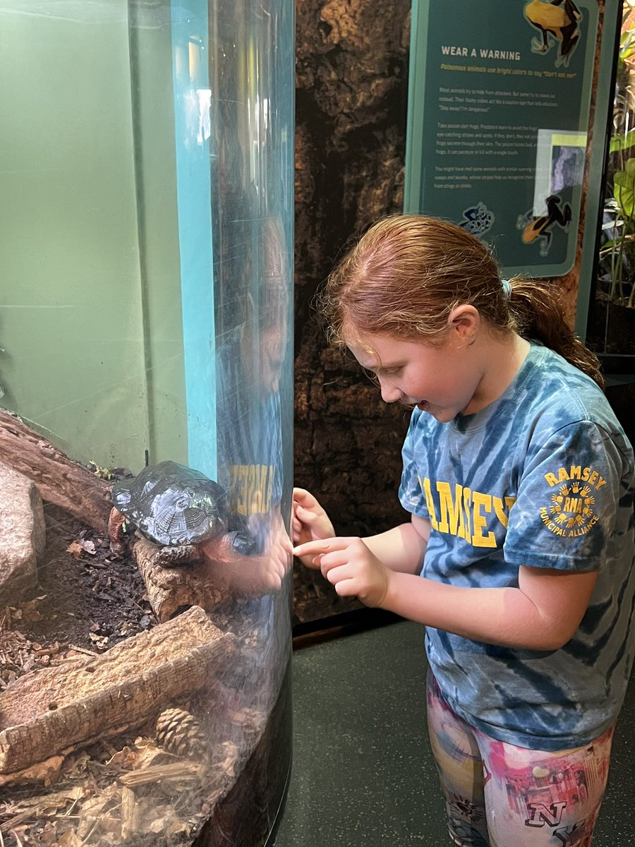 Lauren Murphy  tweet media