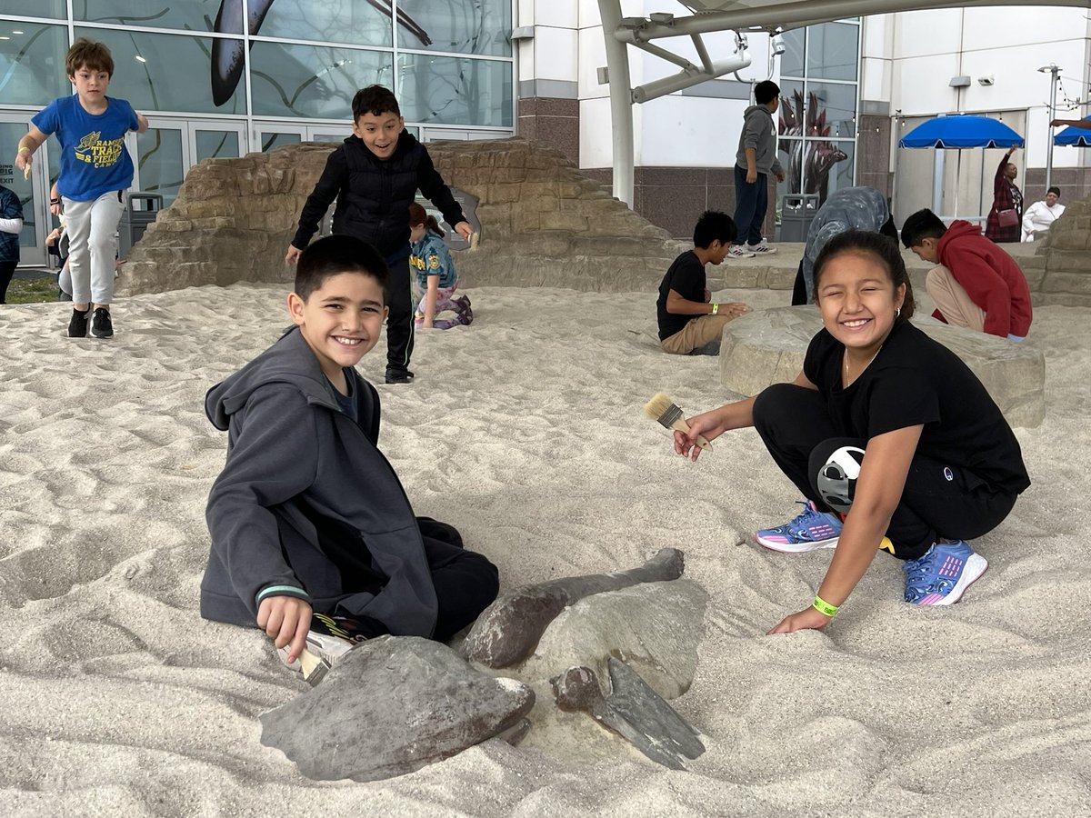 Lauren Murphy  tweet media