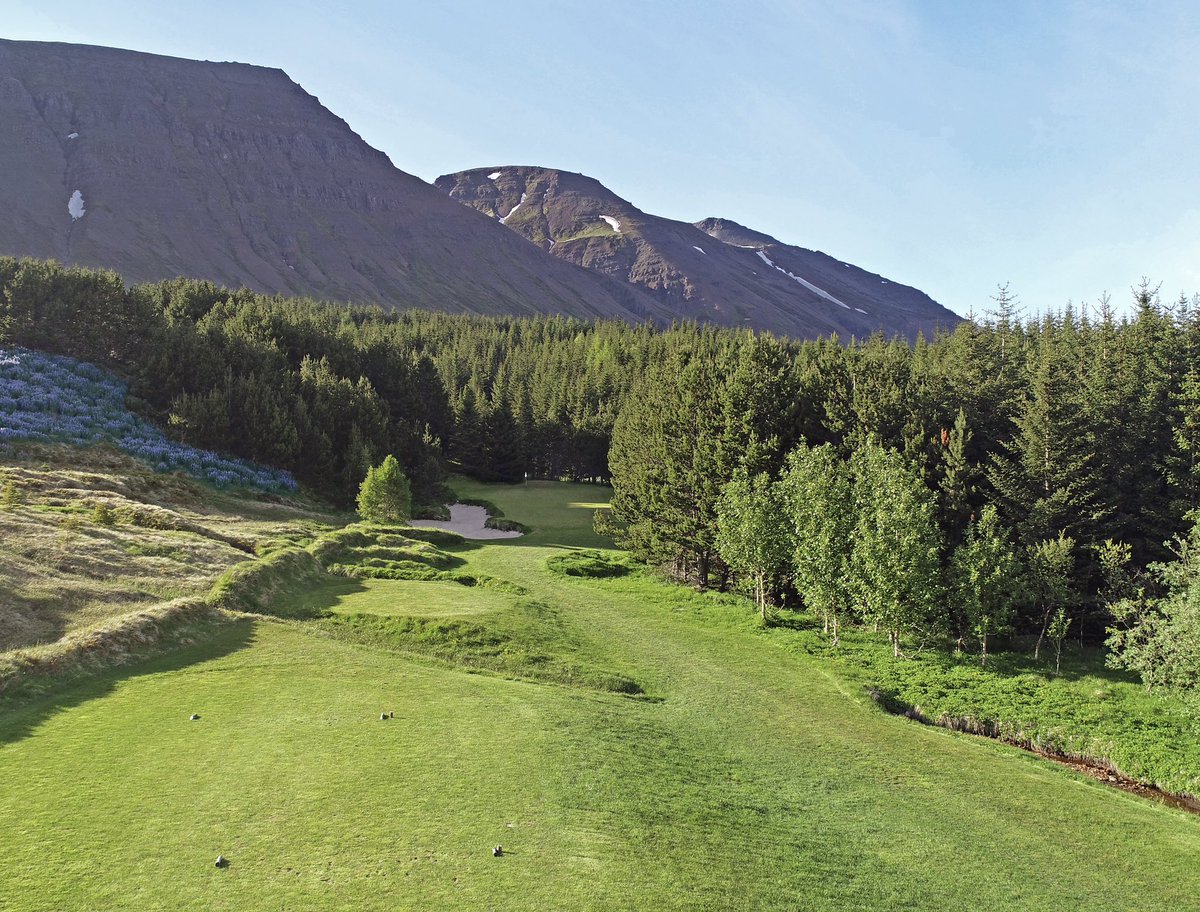 Using own research data, Carbon Par quickly and credibly measures and makes sense of land carbon for golf course owners that wish to take climate action, save money, be eligible for financial incentives, enjoy a competitive advantage and showcase their value in and beyond golf.