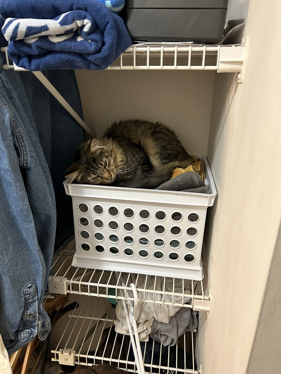 daggerglad's tweet image. 