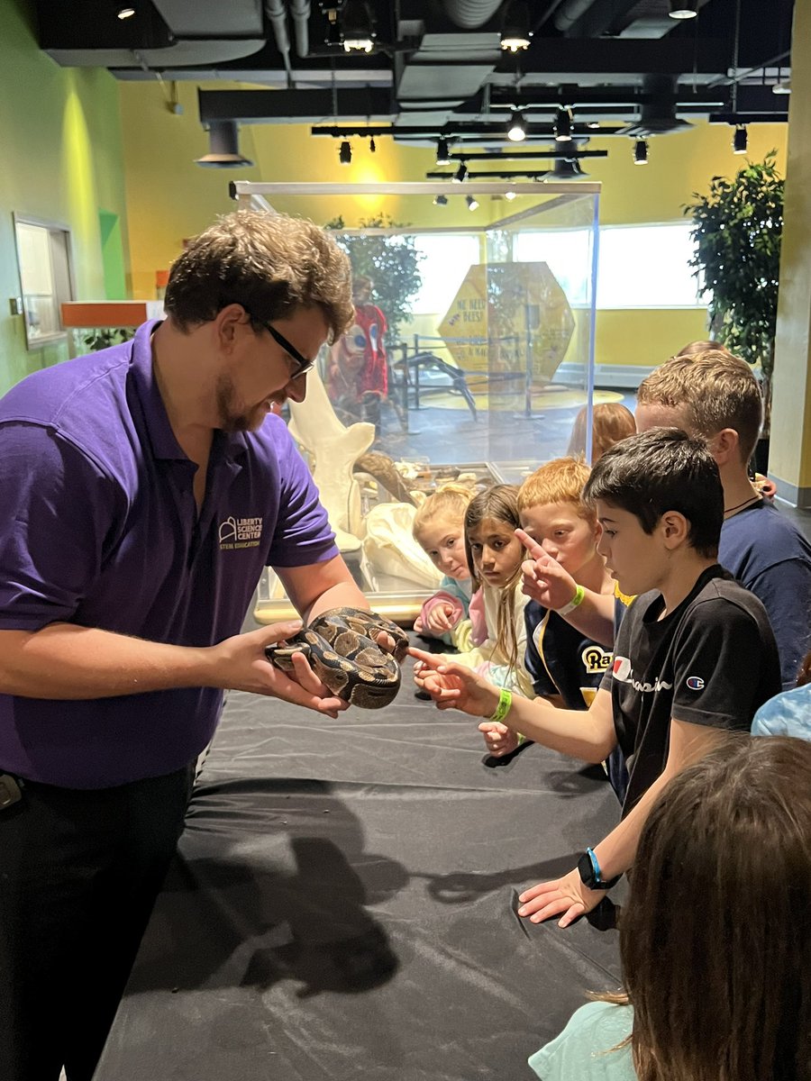 Lauren Murphy  tweet media