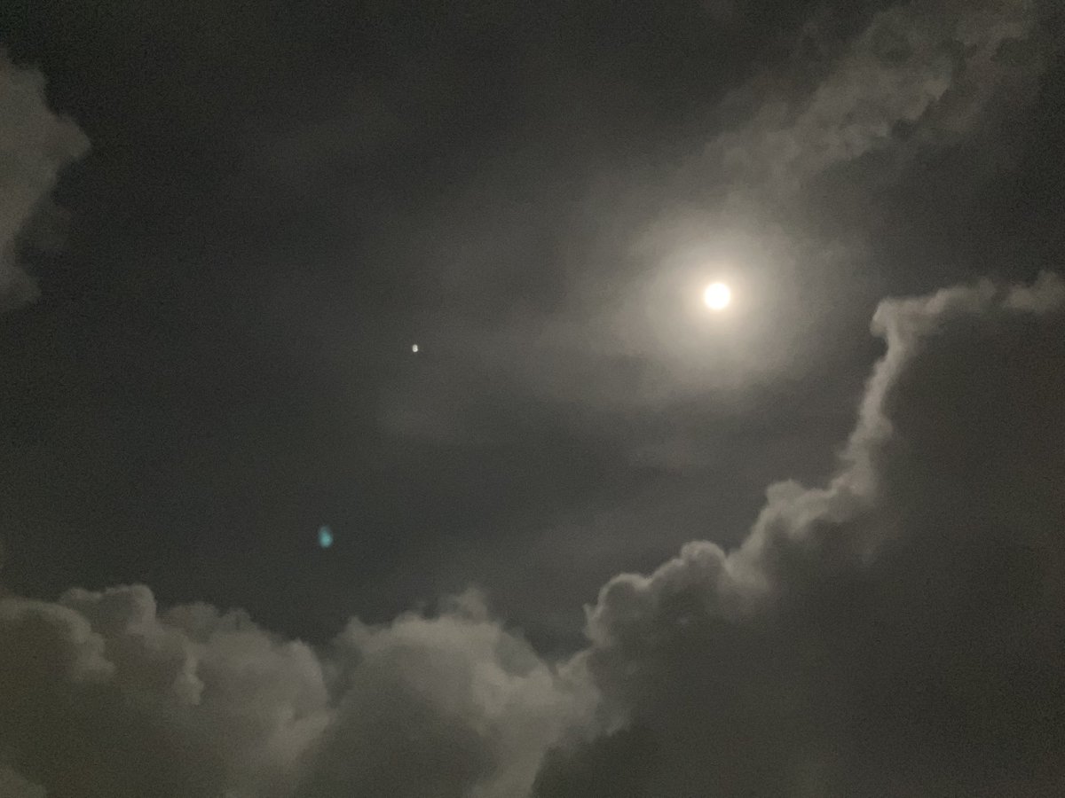 Chris Salt tweet media