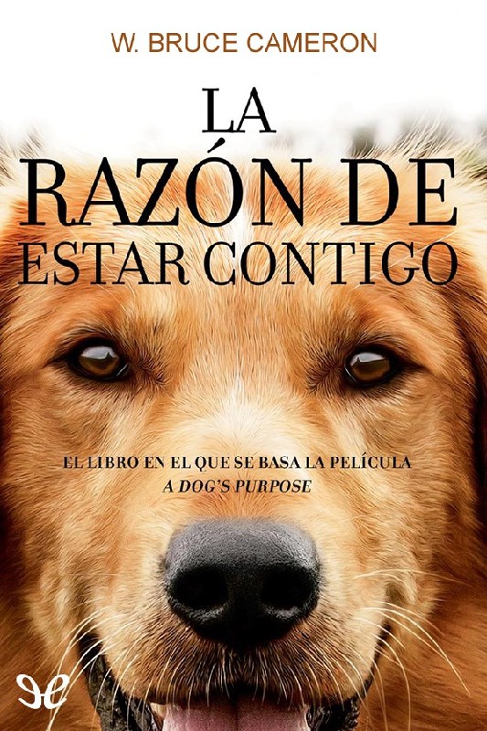DavidCastilloM_'s tweet photo. Todos deberían leer este hermoso libro, hoy, el día que en México celebramos el regreso de las almas de nuestras queridas mascotas muertas, no paro de llorar al recordar varios momentos de la vida en que nos dieron (Y dan) tanto amor 
“La razón de estar contigo” in #FBReader https://t.co/m2RmYREE7C