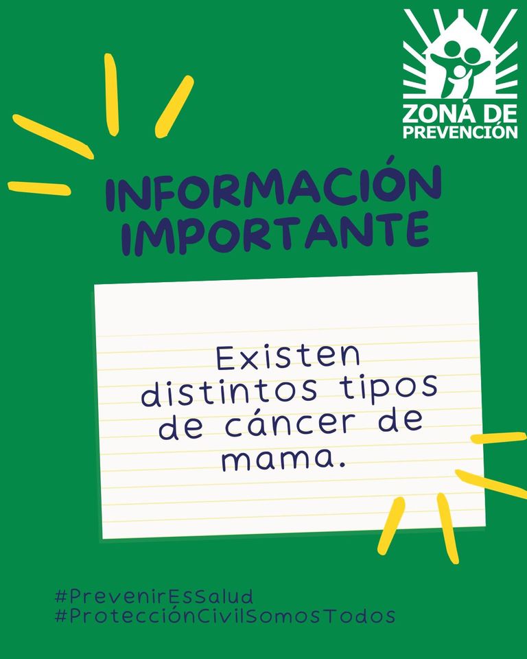 ZPrevencion's tweet photo. El tipo específico de células afectadas  determina el tipo de cáncer de seno. La mayoría de los cánceres de seno son carcinomas, que son tumores que se originan de las células epiteliales que revisten los órganos y los tejidos que se encuentran en todo el cuerpo. https://t.co/RWtFhOeQd9