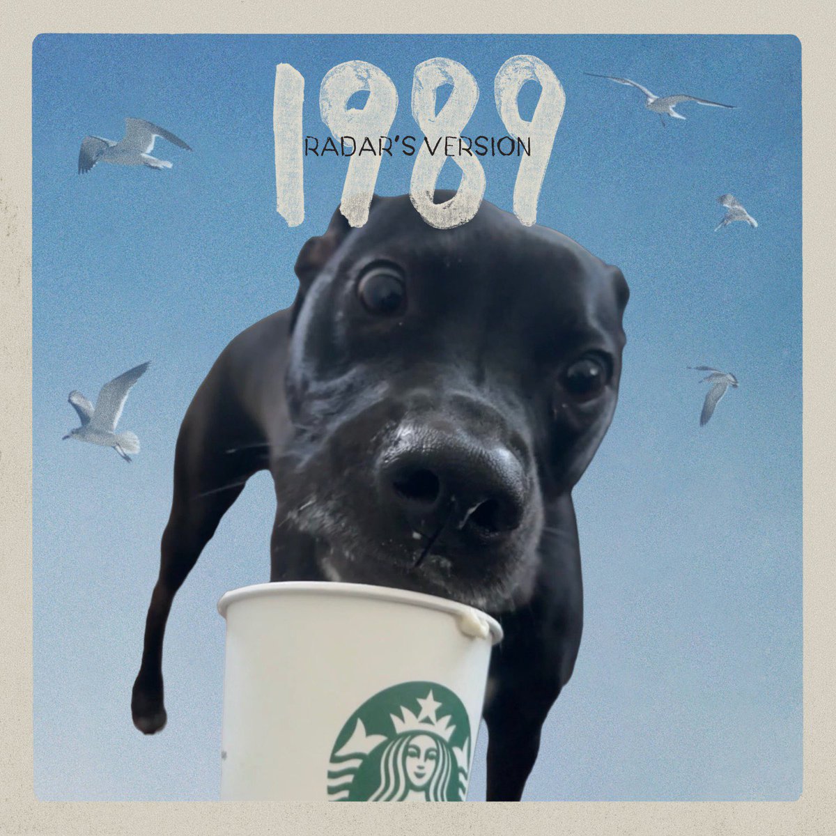 TheRadarPup's tweet photo. I’m your favorite Starbucks Lover #1989TaylorsVersion 🩵 https://t.co/xZ2qWq910R